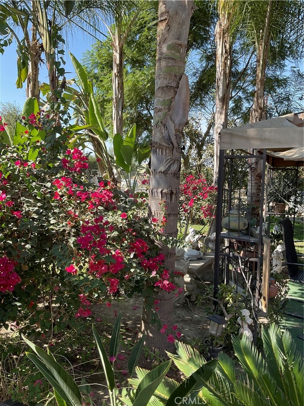 listing image 130722621264681242790