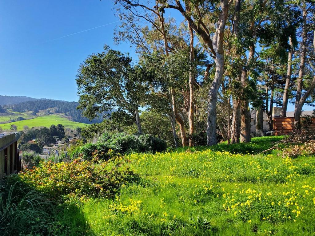 Priced To Sell! This unique coastal parcel represents a rare opportunity to purchase & build the home of your dreams in sought after Carmel. The street-to-street lot is sited on 0.44 acres, with its own private well & is graced with vistas towards the Fish Ranch and Carmel Valley with filtered Ocean & Point Lobos views above 13 feet. Whether your architectural taste favors a Classic Carmel Style traditional home or something chicer & more modern, this blank canvas opportunity has great appeal for your vision and creativity, allowing the new owner to build a main residence on the upper portion of the lot on Lazarro Drive, & the opportunity to have a secondary ADU or guest house with perhaps rental income on the lower on the portion of the lot located on Oliver Road. Each residence being separate and private. The current owner has thoughtfully prepared three different main house design concepts: The Lazarro Drive Classic; The Classic Carmel Mission and, The Carmel Modern Design. Carmel is known for the historic Carmel Mission, world class selection of shops, restaurants, galleries, and stunning white sand beaches. If you have ever dreamed of building your own home and living the Carmel lifestyle, this rare commodity could be the opportunity you have been waiting for.