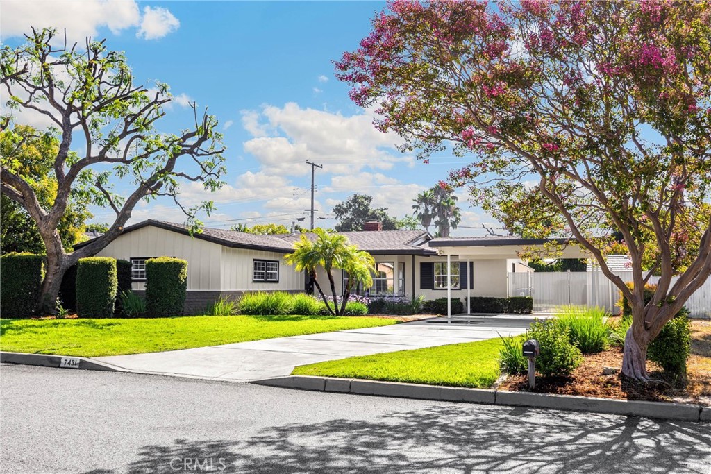 Welcome to the Hill...REDHILL! Step into this beautifully updated residence nestled in one of Rancho Cucamonga’s most charming and quiet neighborhoods. With 1,636 sq ft of fresh, functional living space, this 4-room, 2-bath gem offers a warm, welcoming layout ideal for family living and entertaining.
Enjoy the comfort of brand-new plush carpeting and stylish laminate wood flooring throughout. The home has been freshly painted inside and out in light, neutral tones that create a soft and refreshing ambiance. Updated lighting fixtures provide perfect lighting, and the refreshed kitchen features brand-new countertops, fixtures, and a clean, bright look, while the bathrooms shine with new vanities, faucets, and toilets.
The spacious great room is perfect for gatherings, and the 8,475 sq ft all-usable lot provides plenty of room for outdoor fun, gardening, or possible additions. Relax on the charming front porch, or host guests under the covered patio—ideal for enjoying California evenings year-round.
Move-in ready and full of charm — this Red Hill beauty is just waiting for you to make it home.