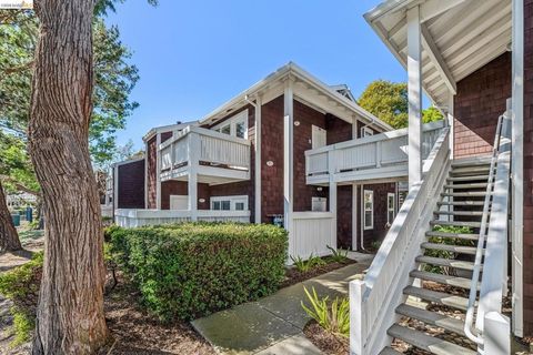 24 Bayside Ct Richmond CA 94804