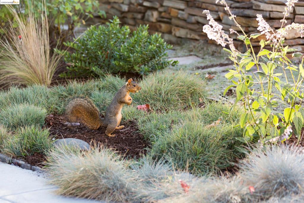 PIEDMONT - Residential