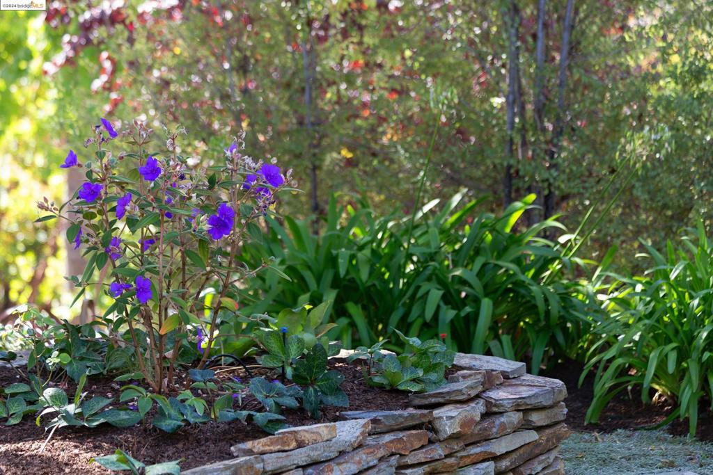 PIEDMONT - Residential