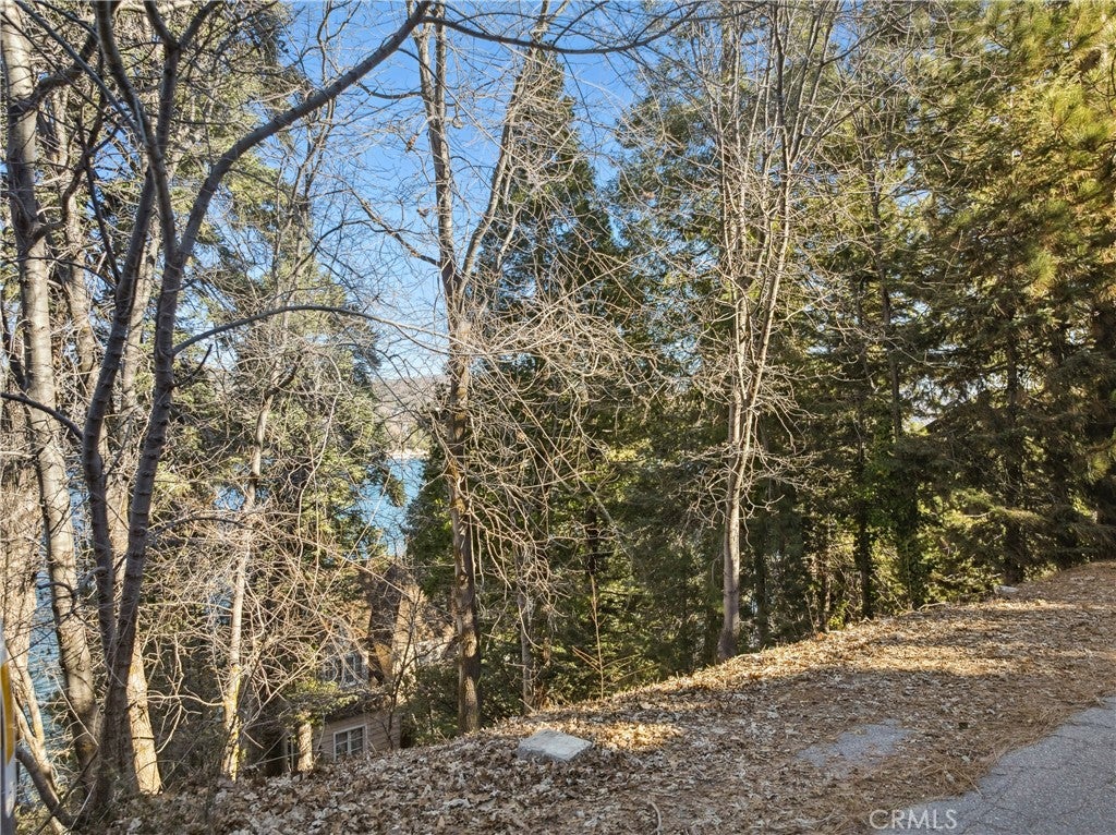28774 Palisades