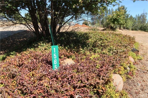 Photo of 1565 Nunneley Road, Paradise, CA 95969 (MLS # SN26197084)