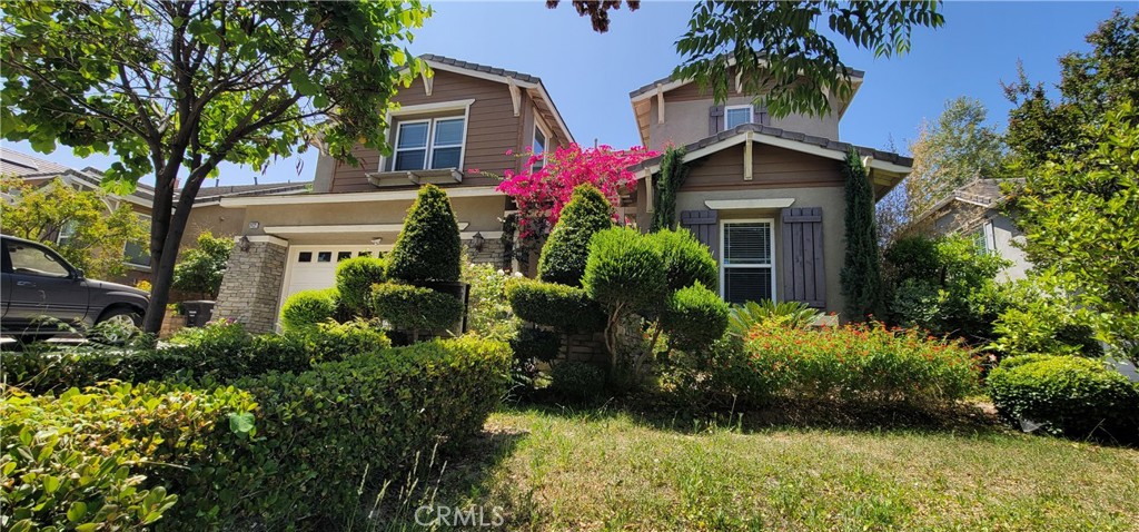 24221 Paulson Drive