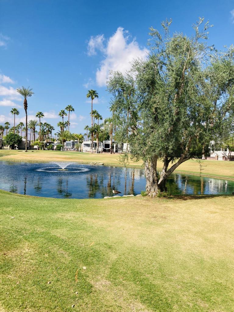 Outdoor Resorts Palm Springs - Land