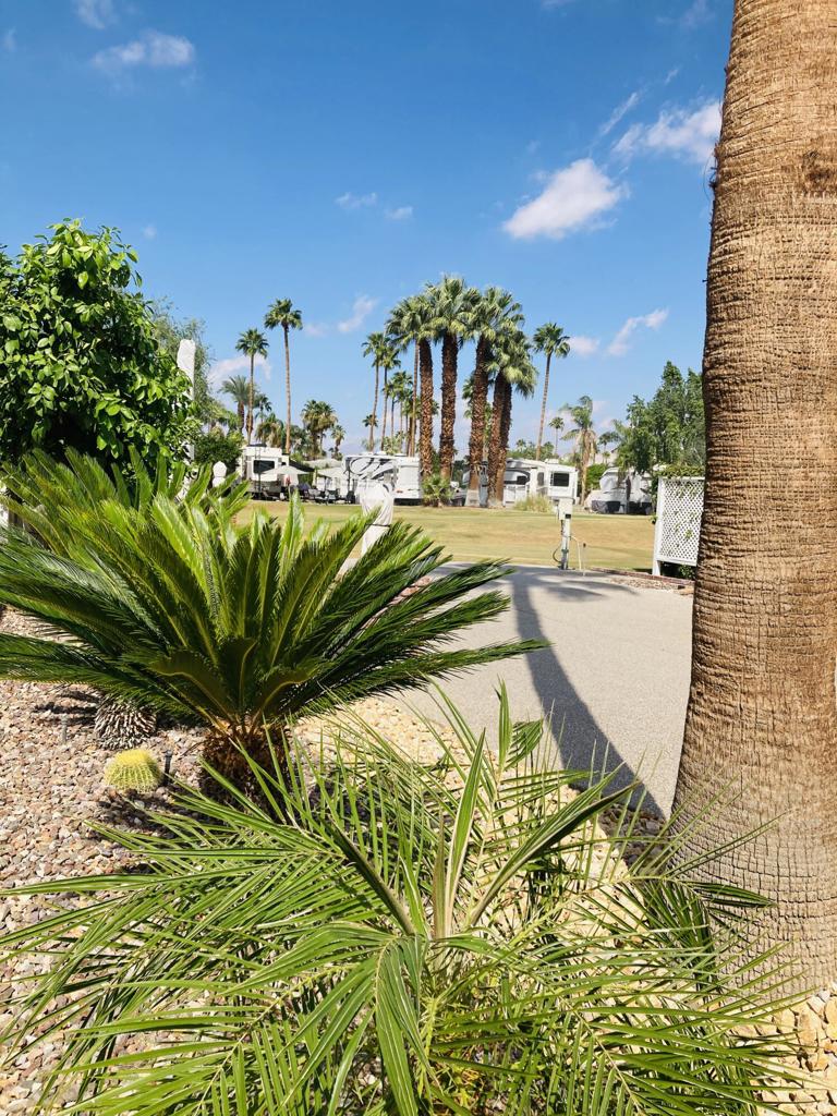 Outdoor Resorts Palm Springs - Land