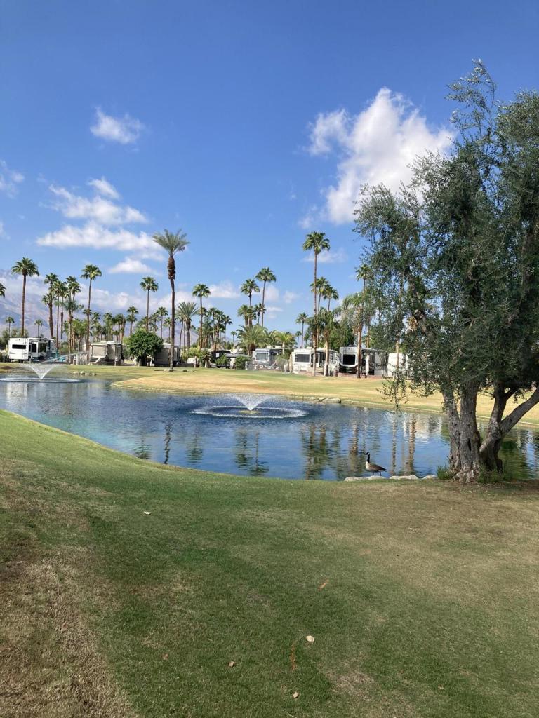 Lot 973 is now available on our golf course.This premium spot, located on the beautiful back nine, offers stunning water and fountain views. Its northerly orientation provides breathtaking sunrises and sunsets, beautifully reflecting off the mountains.The lot was recently updated-July 2024- with a durable polyaspartic surface. It comes fully equipped with high-end furnishings: a table with swivel chairs and a umbrella, a fire table, two standing propane heaters, a Weber propane grill, and a deck box. All furniture except the deck box , includes protective covers.This is a prime opportunity at Outdoor Resorts.