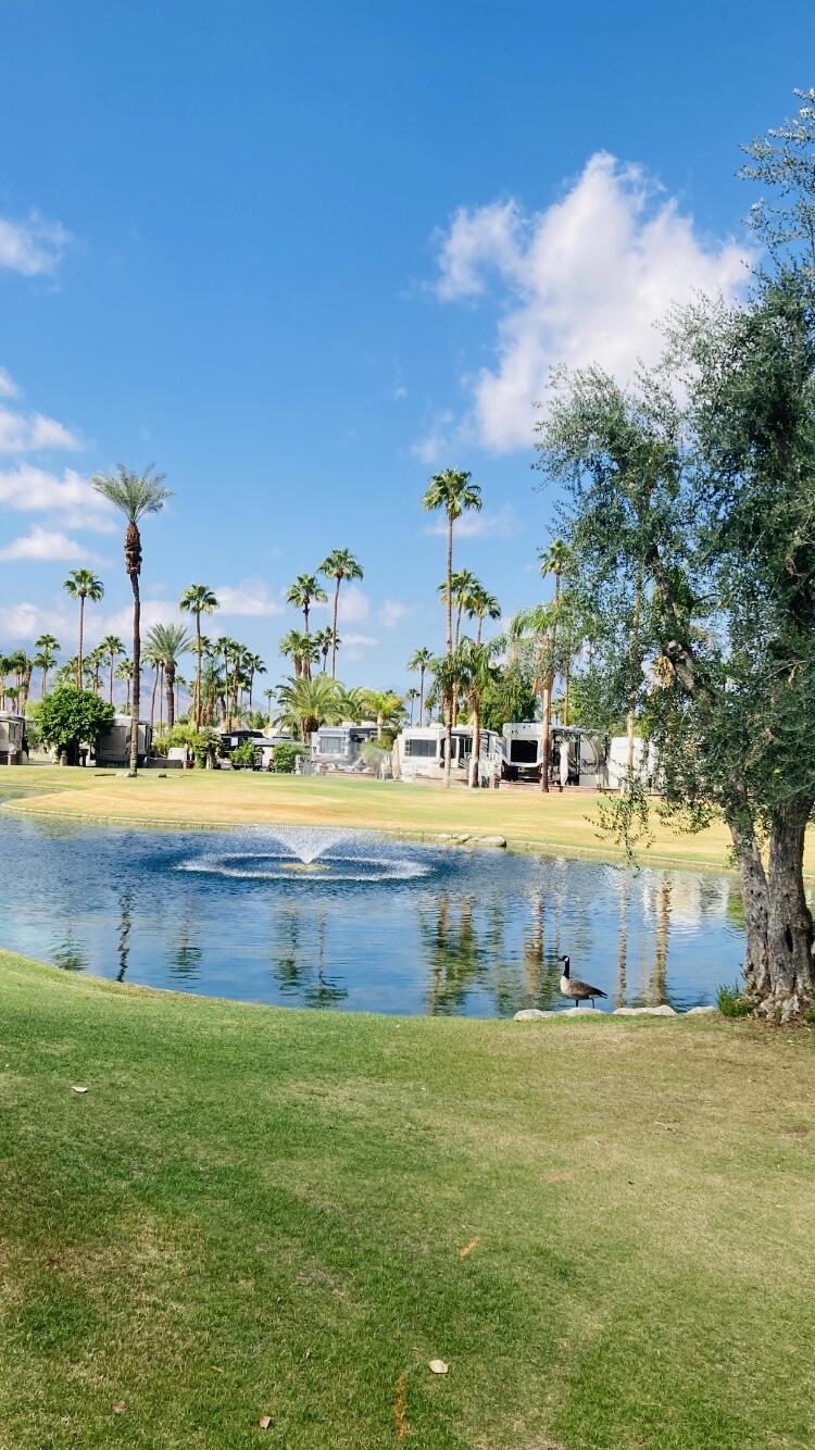 Outdoor Resorts Palm Springs - Land