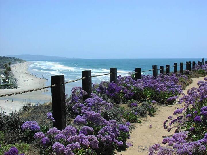 Carmel Valley - Residential Lease