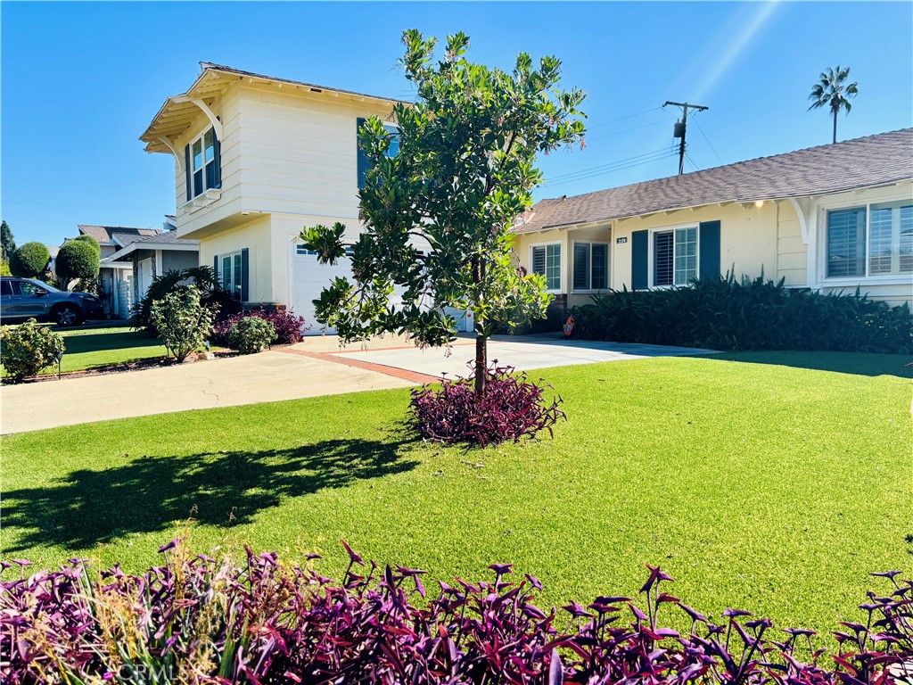 3124 E Jacaranda Avenue