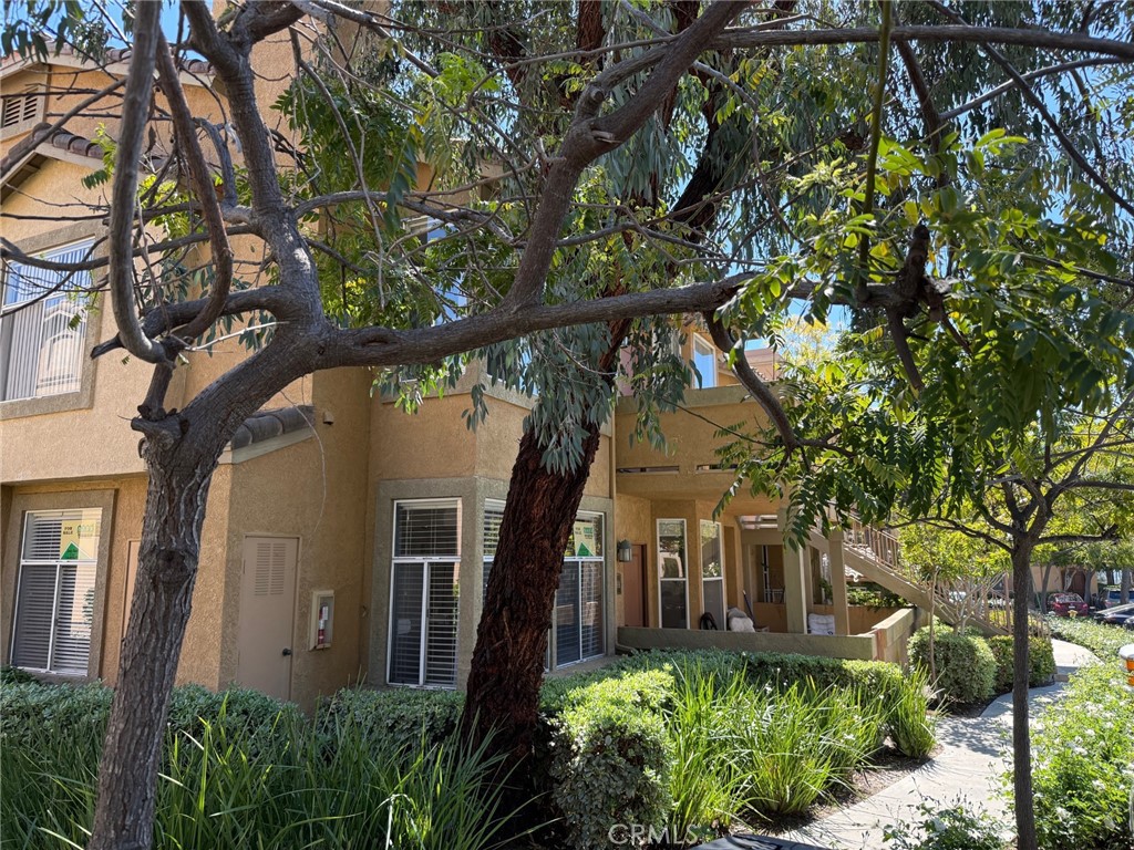 19431 Rue De Valore 14A