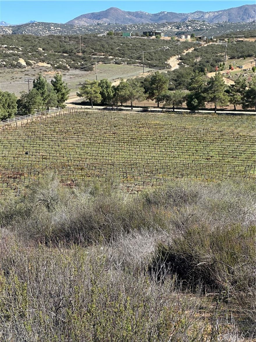 Flat to gentle rolling 19.56 acre in Sycamore Springs Subdivision, with nice knoll for homesite overlooking your lot, perfect for horse ranch, or would make a great vineyard, perfect for custom home, there is a vineyard on the eastern boundary of the property, also property may have 2 wells seller believes one of the wells is 23 GPM but buyer will need to have tested to verify, not sure on the GPM for the other well (if it has a second well). Close to Hemet, and short drive to Temecula Valley Wine Country, short distance to Diamond Valley Lake or Lake Skinner, Vail Lake, for adult entertainment its a short drive to Pechanga Casino, Soboba Casino, Pala Casino, etc.