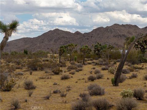 Photo of 3786 Alta Avenue, Yucca Valley, CA 92284 (MLS # JT26157159)