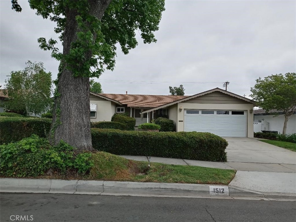 1512 N Amber Court
