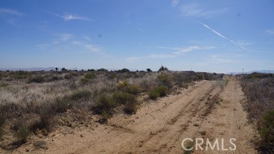 South Side of Phelan Road, High enough on Wilson Ranch Road South, Some Houses are nearby, Total 4 Lots (Gross 2.5 acre each), Subdivided by Current Owners, Views to Phelan Town, A little rough to drive (4x4 preferred), Selling all these four lots at a time, Bring all your family or friends to make your own town...Enough to Enjoy your toys and to take care of your Animals. Sellers are motivated because three partners have been owning a long time..ETC One more thing to know, Phelan is growing now ....A big Amazon Center is under construction on Phelan Road and Hwy 395
