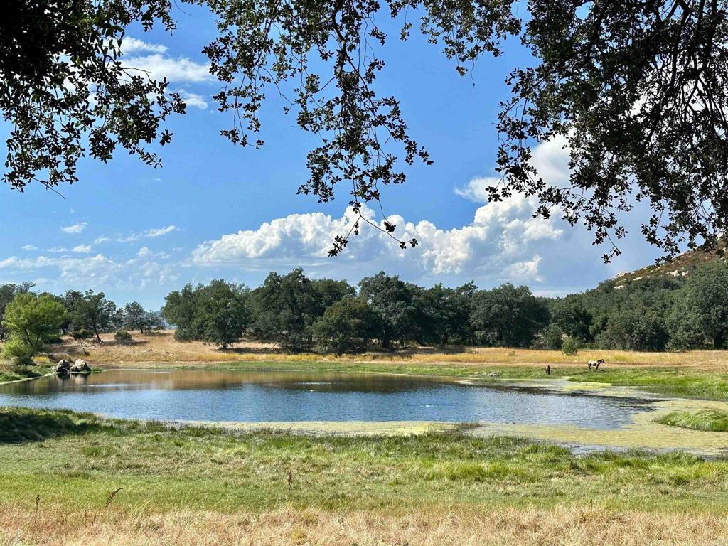 25258 Black Canyon Road