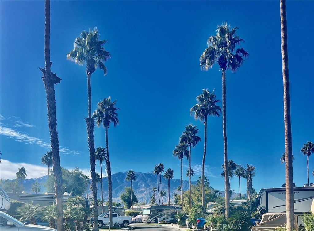 Outdoor Resort - Land