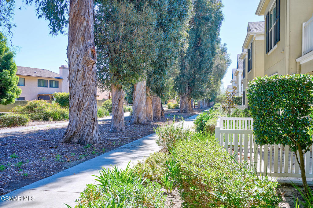 872 Fitzgerald Avenue