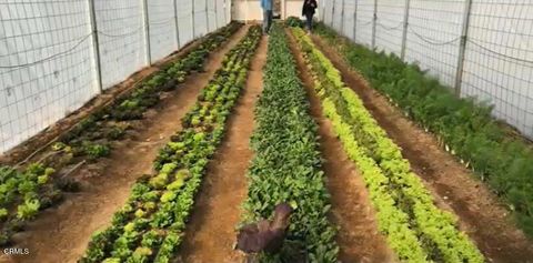 Photo of 691 Desert Trail Way, Tecopa, CA (MLS # P1-23329) Photo of 691 Desert Trail Way, Tecopa, CA (MLS # P1-23329)