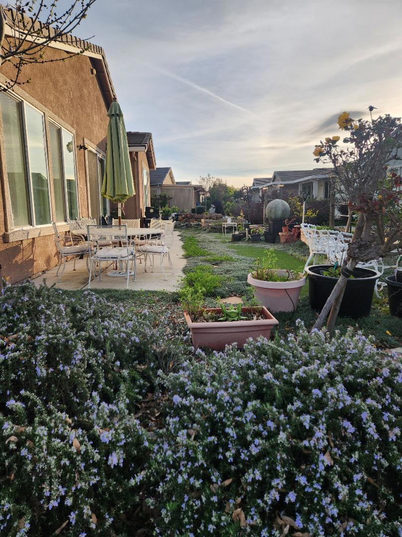 101 David Lamoree Way