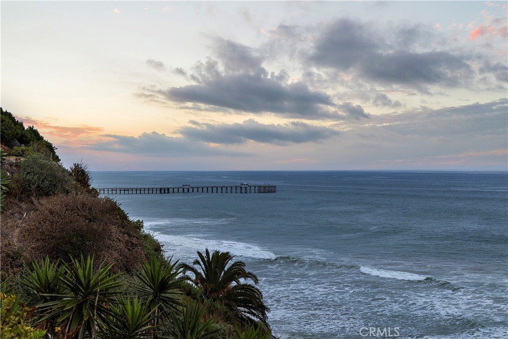 1001 Buena Vista 6, San Clemente CA 92672 - Photo 32
