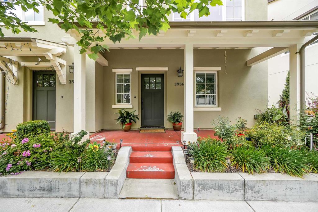 39567 Stevenson Place