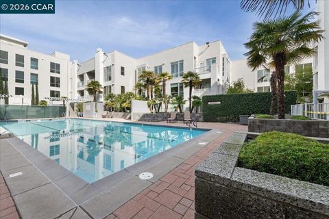 Photo of 1655 N California Blvd Blvd #330, Walnut Creek, CA 94596 (MLS # 41125075)