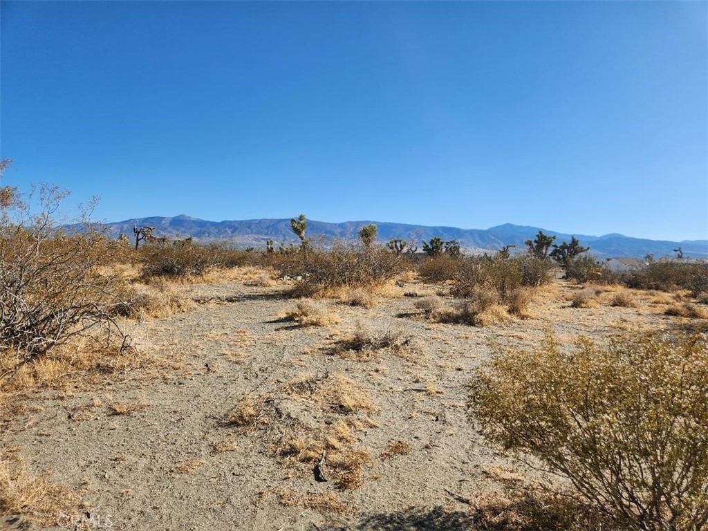 Great location with utilities available! Lot is level and ready to build. Property is located in Snowline School District. Come make this yours today!