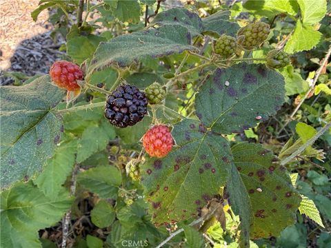 Tiny photo for 625 W Ormonde Rd, San Luis Obispo, CA 93401 (MLS # NS26071004)