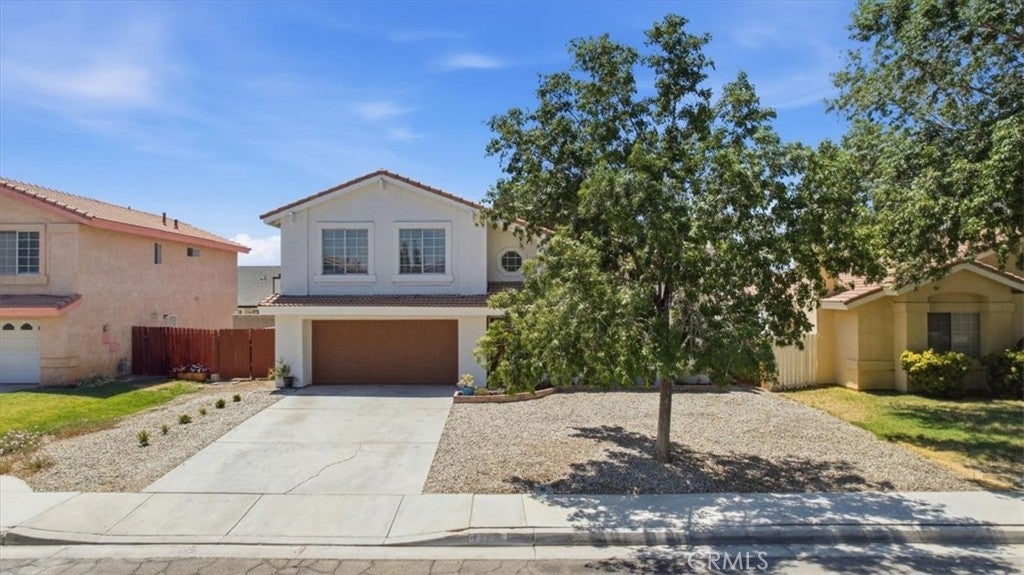 44135 Camellia