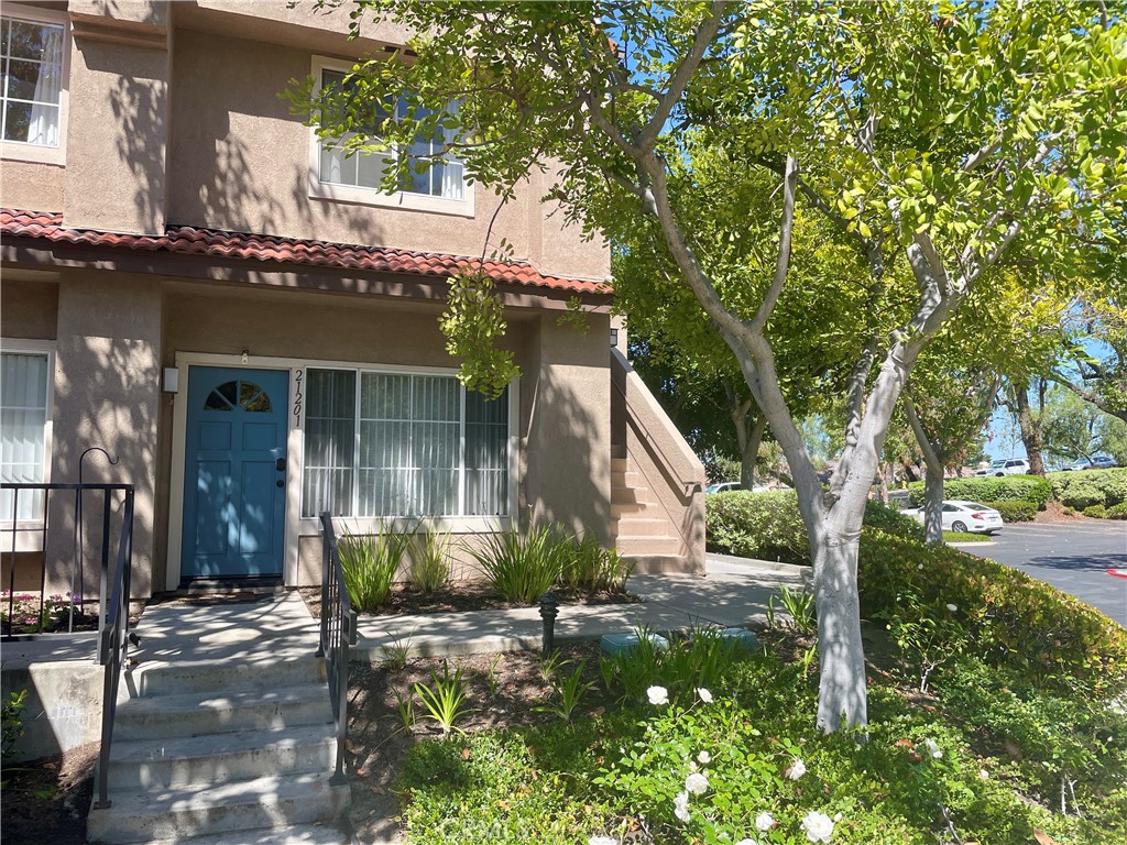 21203 Camelia 34