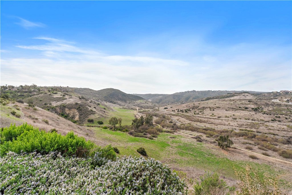 23611 Trinidad Lane, Laguna Niguel CA 92677 - Photo 48