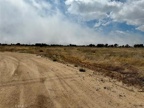 Photo of 0 Tumbleweed Rd., Phelan, CA 92371 (MLS # HD25086694) Photo of 0 Tumbleweed Rd., Phelan, CA 92371 (MLS # HD25086694)