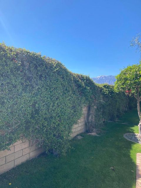 Photo of 69411 Ramon Road #274, Cathedral City, CA 92234 (MLS # 219144027DA)