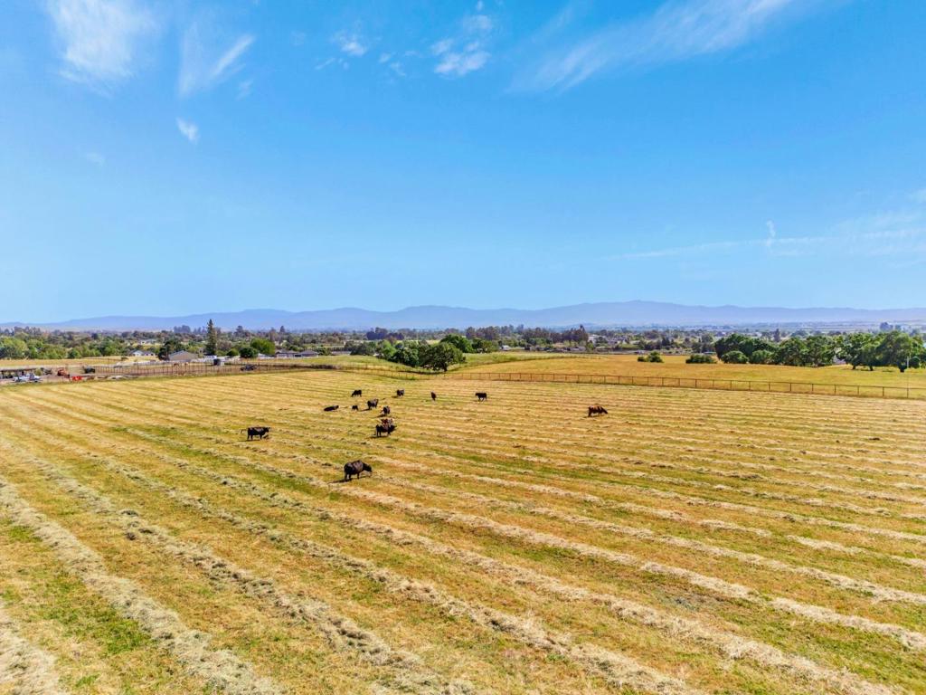 0 Lot #2 Bluff Drive