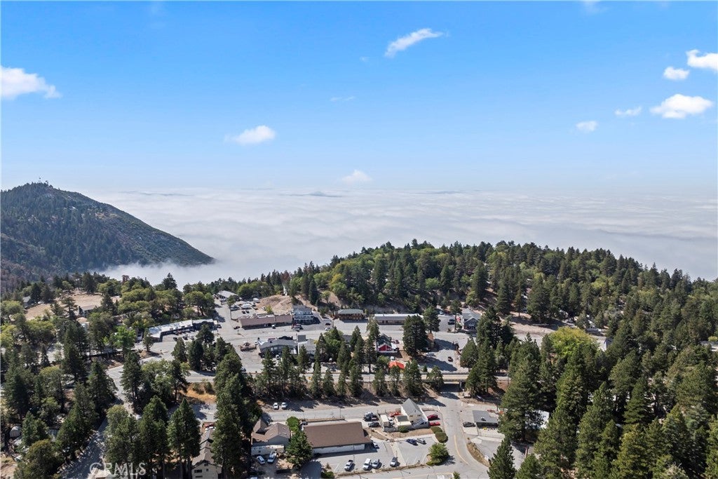 31961 Hilltop