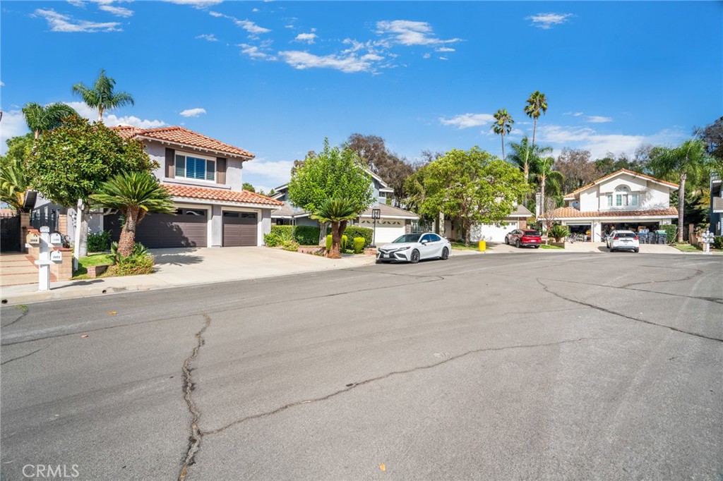 2460 Windmill Creek Road