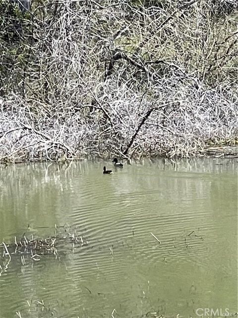 Photo of 9650 Rocky Creek Road, Lower Lake, CA 95457 (MLS # LC25080789)