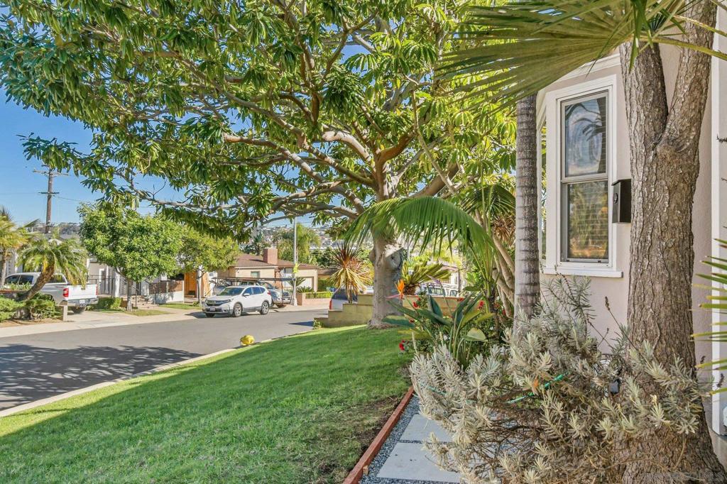 3143 Meadow Grove Dr