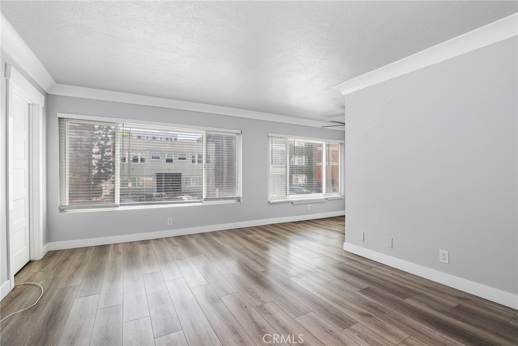 335 Cedar Avenue 101