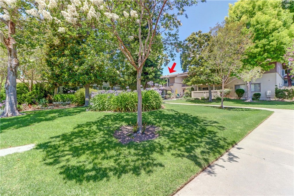 524 Calle Aragon N