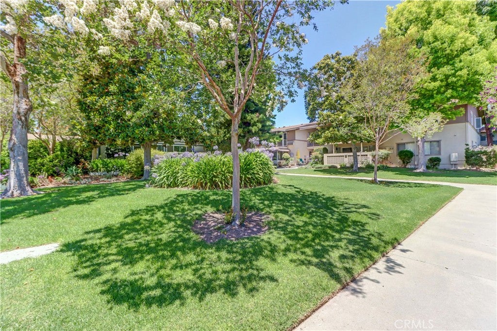 524 Calle Aragon N