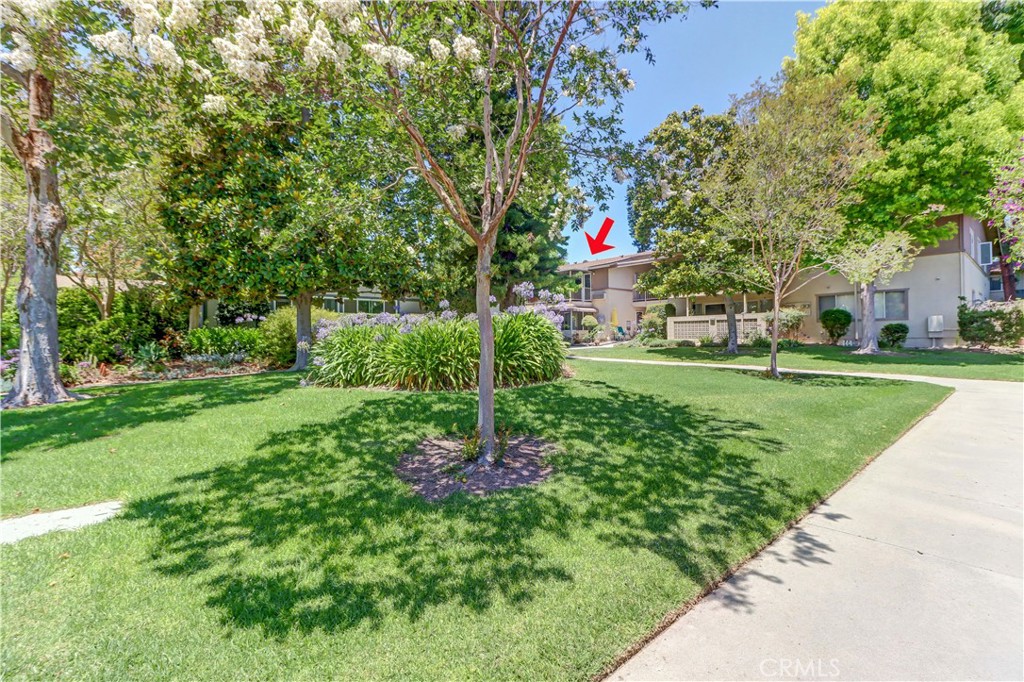 524 Calle Aragon N