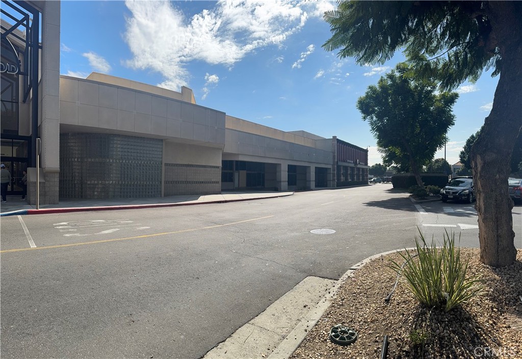 217 Stonewood Street B13