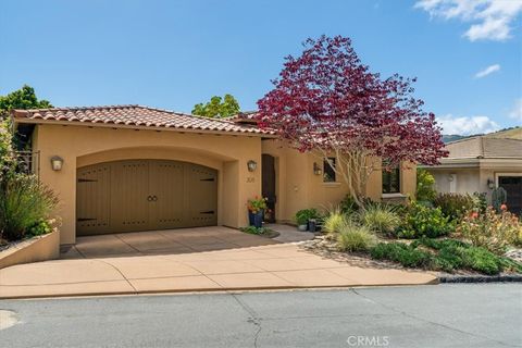Photo of 3135 Lupine Canyon Road, Avila Beach, CA 93424 (MLS # SC26085514)