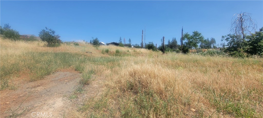 Ready to build in Paradise? This .39-acre R1-zoned lot at 1433 Bennett Road offers a great opportunity to create your dream home. Located in an established neighborhood, the lot provides a peaceful setting in a desirable location. Property is being sold as-is; buyer to investigate all aspects to their satisfaction.