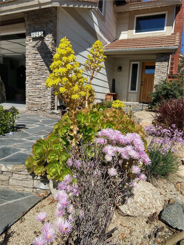 8243 E Ironwood Avenue