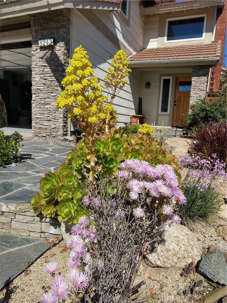 8243 E Ironwood Avenue