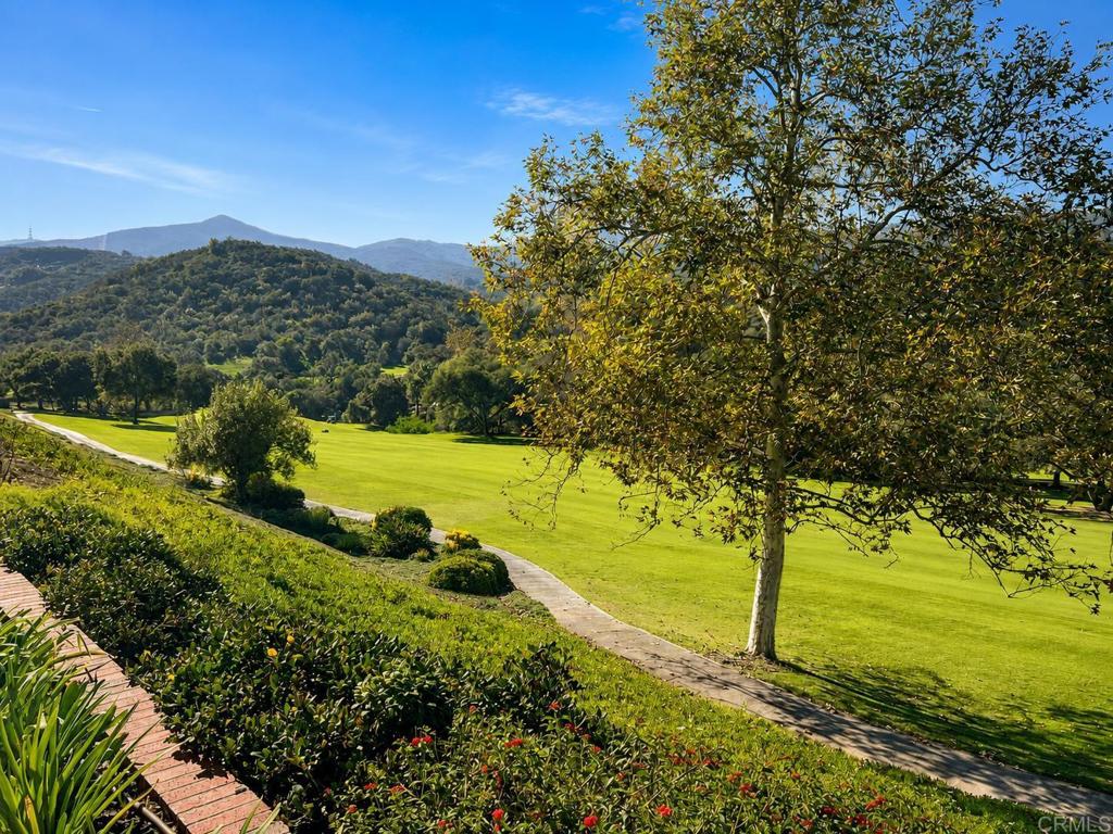 29118 Laurel Valley Dr